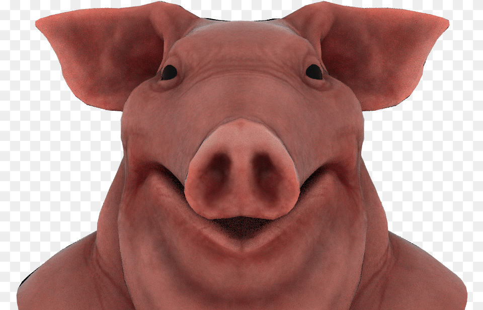 Pig Texture Houdini, Baby, Person, Snout, Animal Free Transparent Png