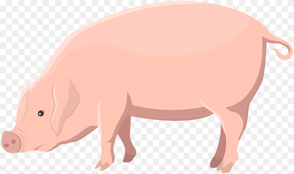 Pig Transparent Clip Art, Animal, Hog, Mammal, Boar Png Image
