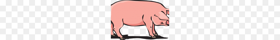 Pig Vector Art Pig Vector Art Downloads Clip Art, Animal, Boar, Hog, Mammal Png Image