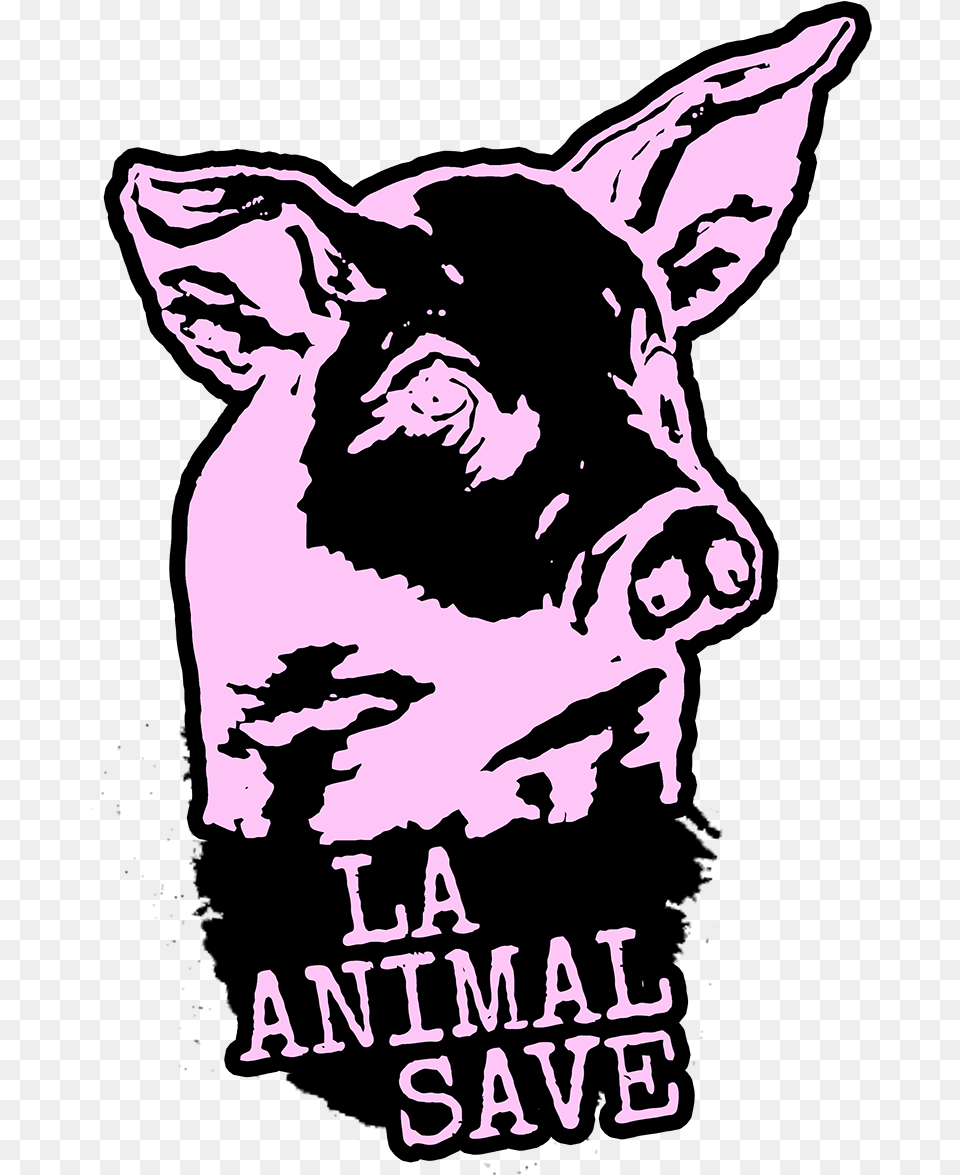Pig Vigil Information Illustration, Stencil, Baby, Person, Animal Png