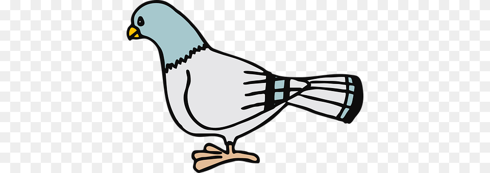 Pigeon Animal, Bird, Jay, Smoke Pipe Png