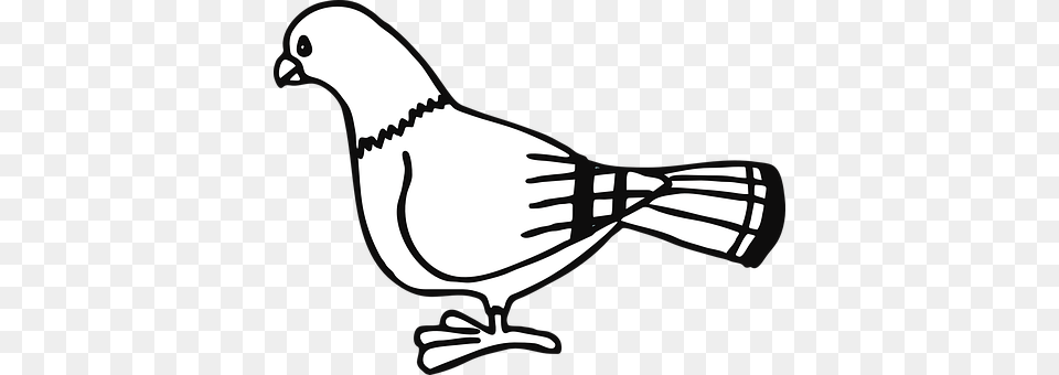 Pigeon Stencil, Animal, Bird, Smoke Pipe Free Png