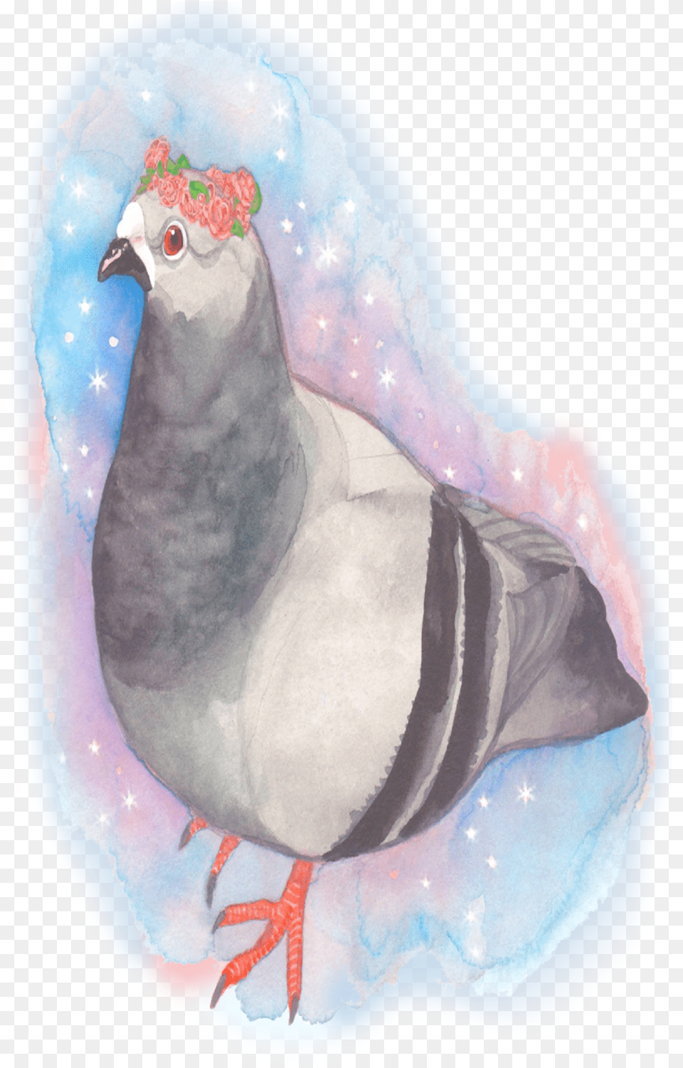 Pigeon, Animal, Bird, Dove Png Image