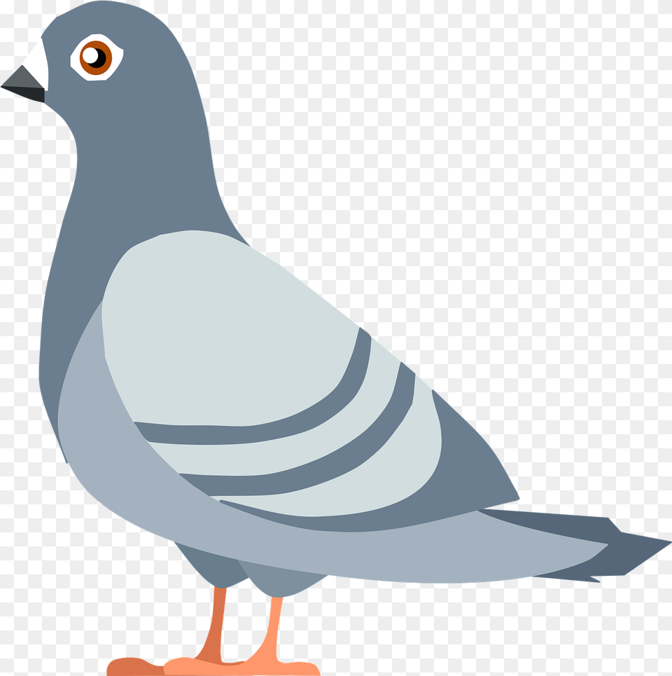 Pigeon Bird Flying Vector Graphic On Pixabay Lvaro Obregon Garden, Animal, Dove Png Image