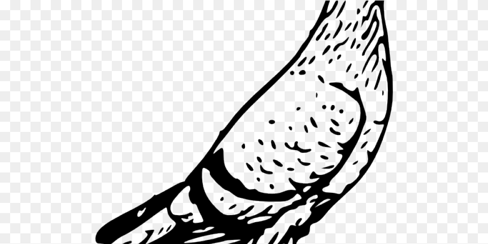 Pigeon Black And White, Animal, Bird, Bow, Weapon Png Image