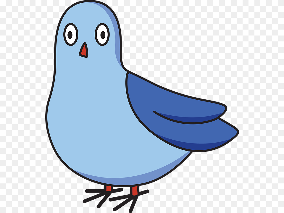 Pigeon Cartoon Bird Dove Silly Animal Cartoon Pigeon, Jay Free Transparent Png