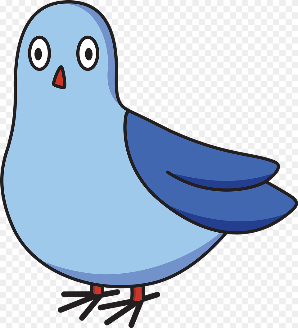 Pigeon Cartoon Bird Free Vector Graphic On Pixabay Transparent Pigeon Cartoon, Animal, Jay, Seagull, Waterfowl Png Image