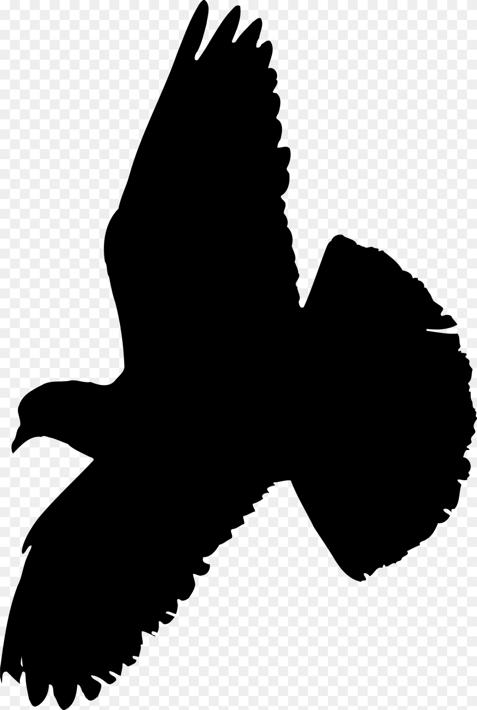 Pigeon Clip Arts Pigeon Flying Black, Gray Free Png