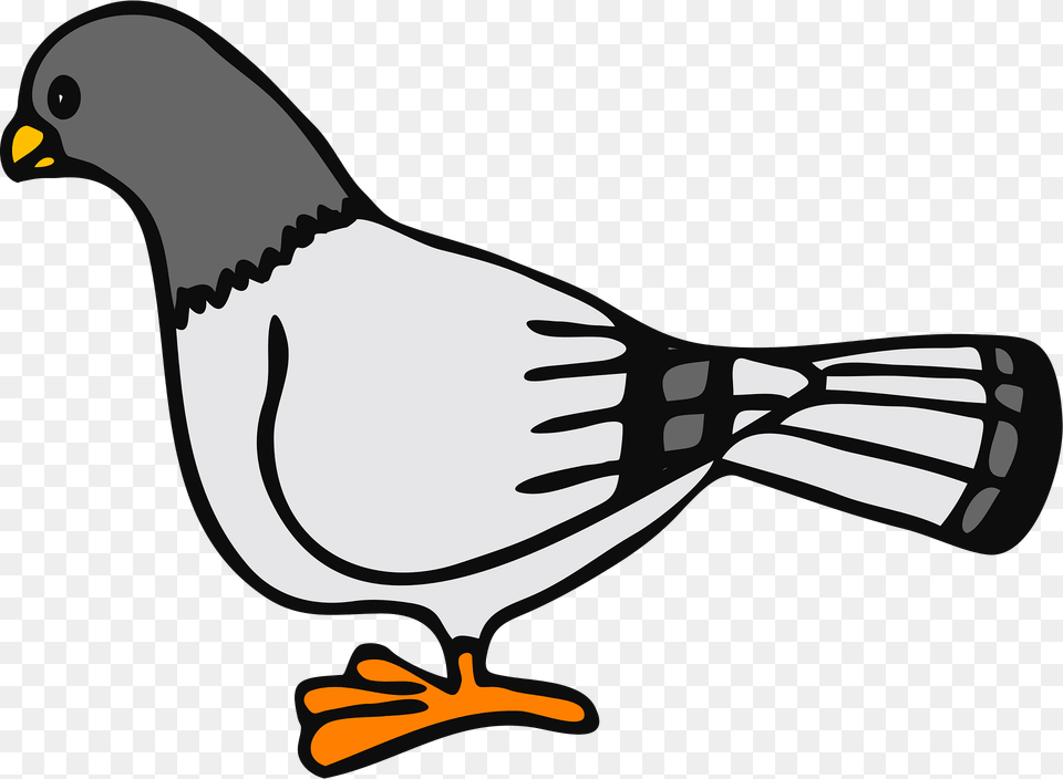 Pigeon Clipart, Animal, Bird, Finch, Jay Free Png