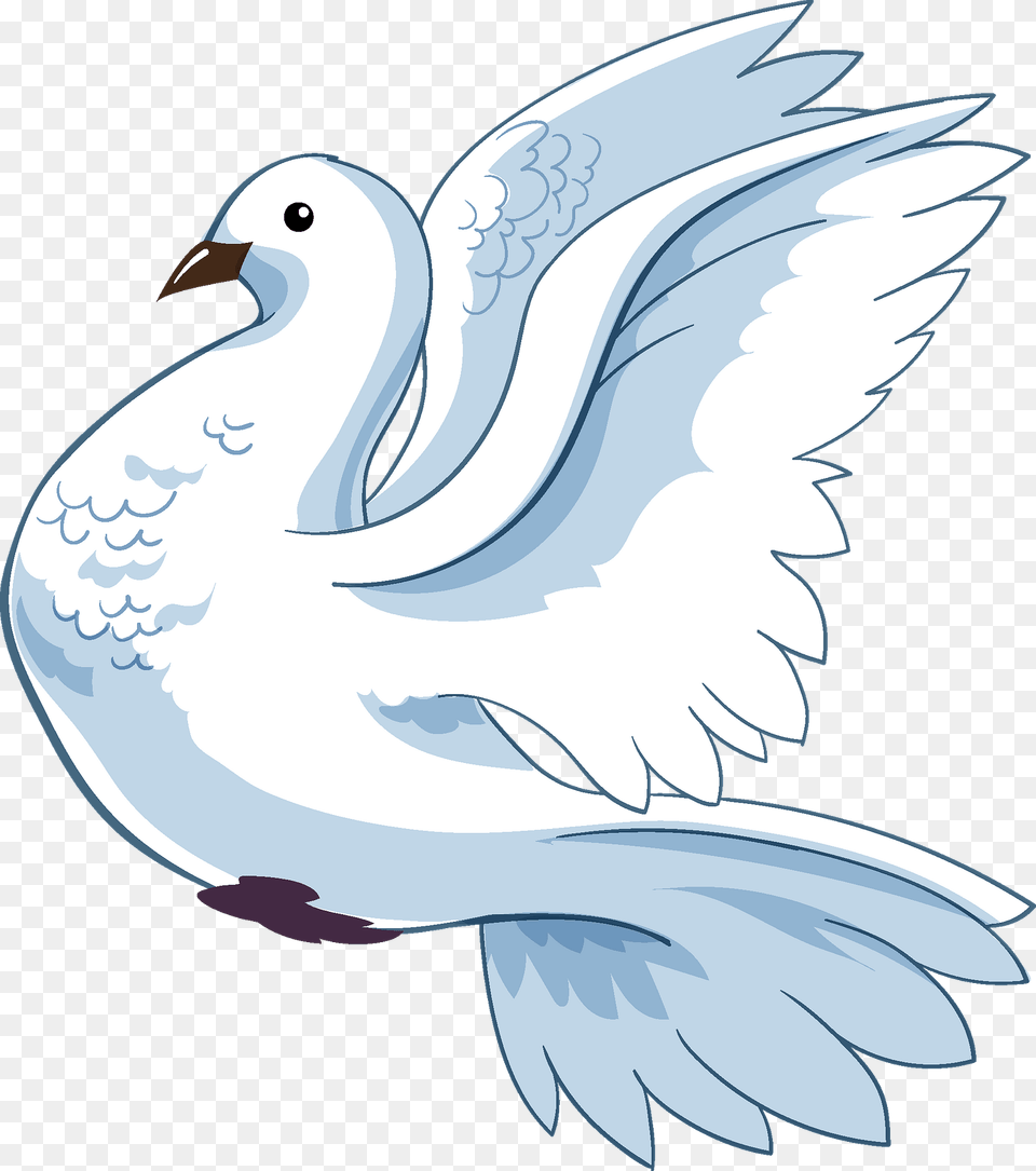 Pigeon Clipart, Animal, Bird, Dove, Fish Png