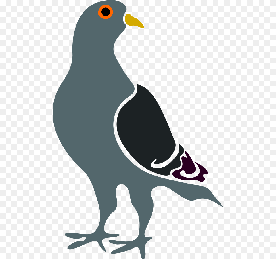Pigeon Clipart, Animal, Bird, Blackbird, Person Free Transparent Png
