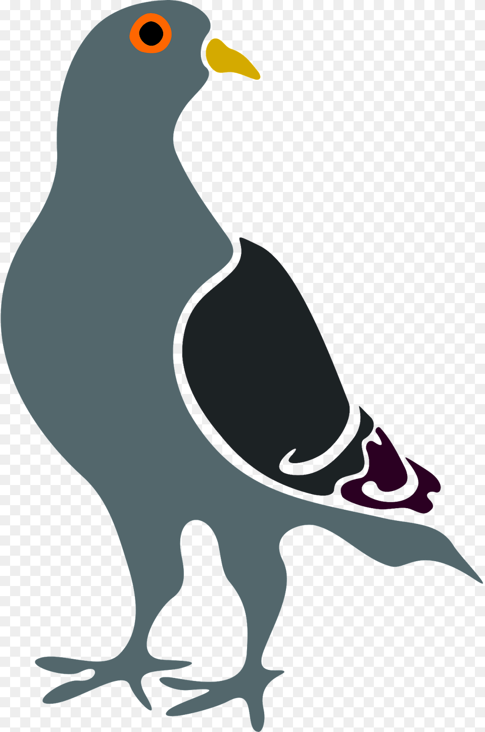 Pigeon Clipart, Animal, Beak, Bird, Fish Png Image