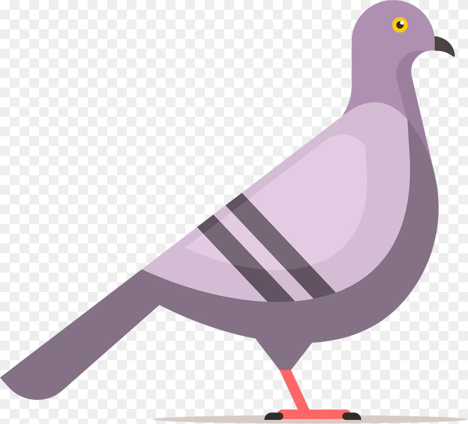 Pigeon Clipart, Animal, Bird, Dove Free Png Download