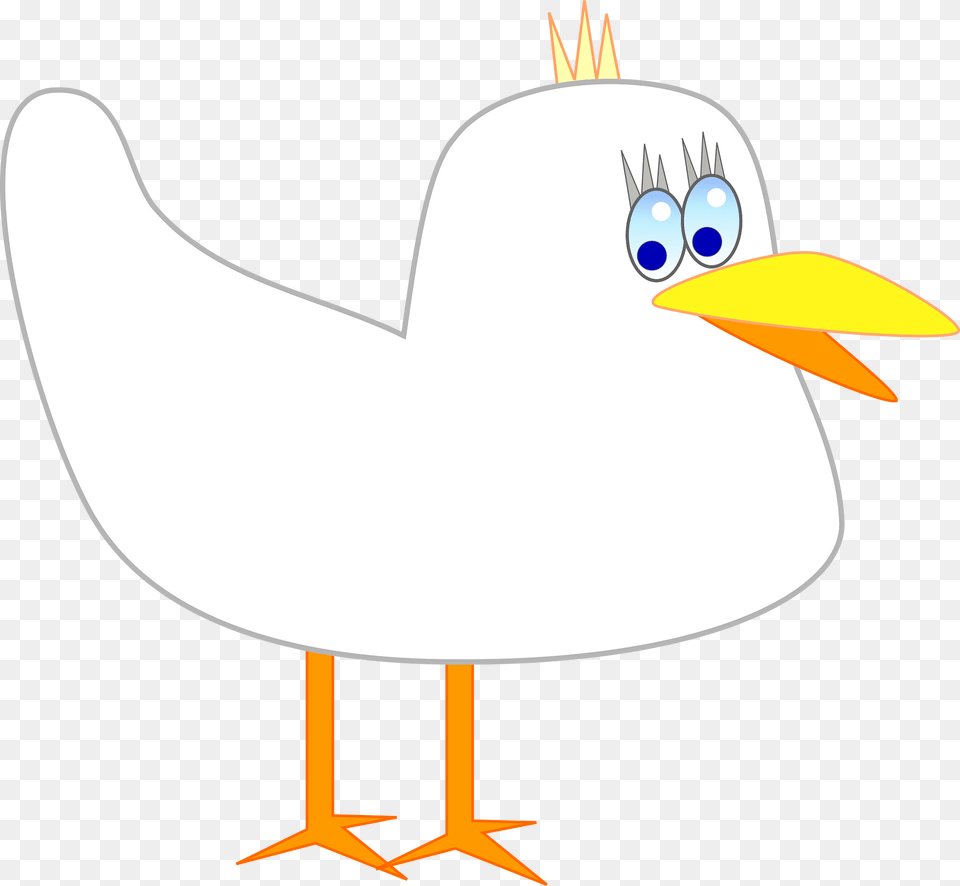 Pigeon Clipart, Animal, Seagull, Waterfowl, Bird Free Transparent Png