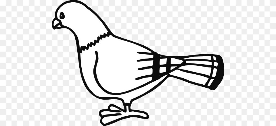 Pigeon Clipart Drawn, Stencil, Smoke Pipe, Animal, Bird Png