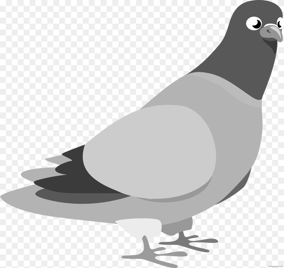 Pigeon Clipart Karuna Pigeon Clip Art, Animal, Bird, Dove Png