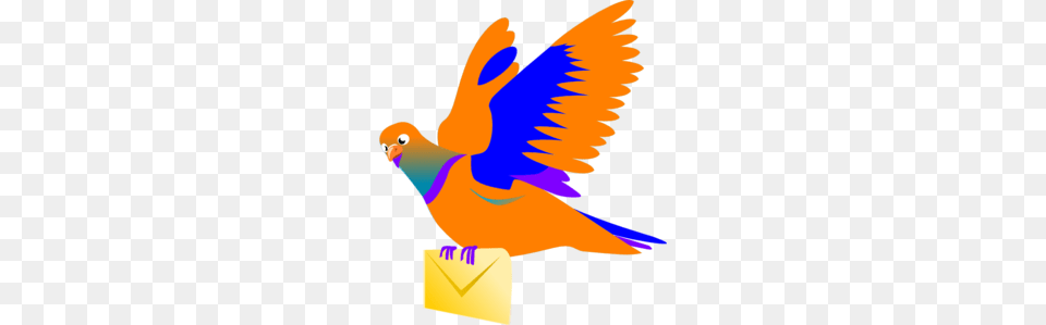 Pigeon Clipart Mail, Animal, Bird Png Image