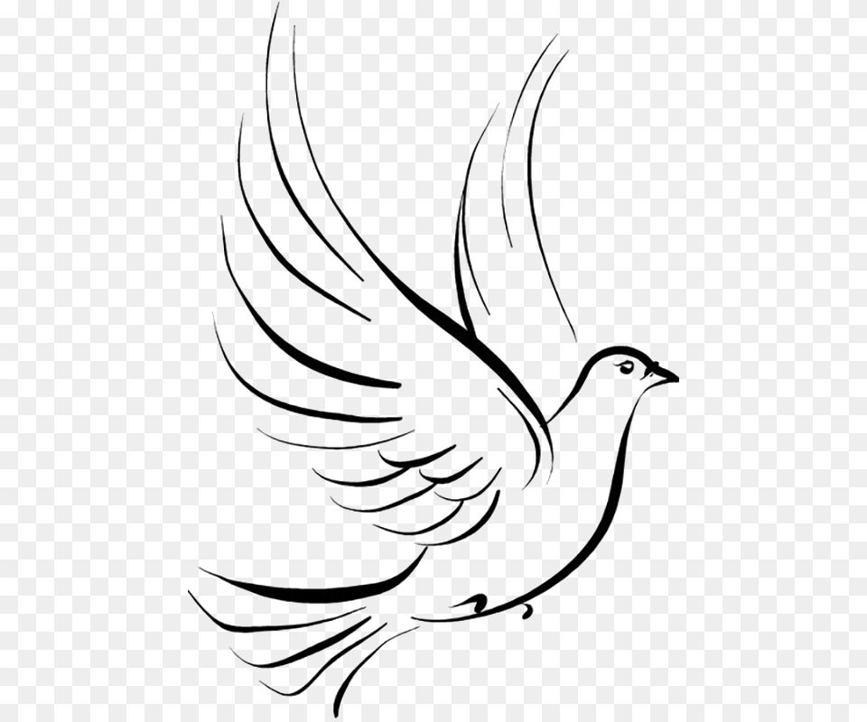 Pigeon Clipart Paloma Symbol Of Faith In God, Stencil, Animal, Fish, Sea Life Free Png Download