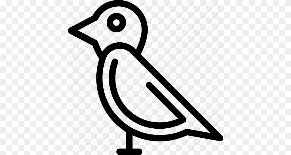 Pigeon Clipart Sparrow, Animal, Bird Free Transparent Png