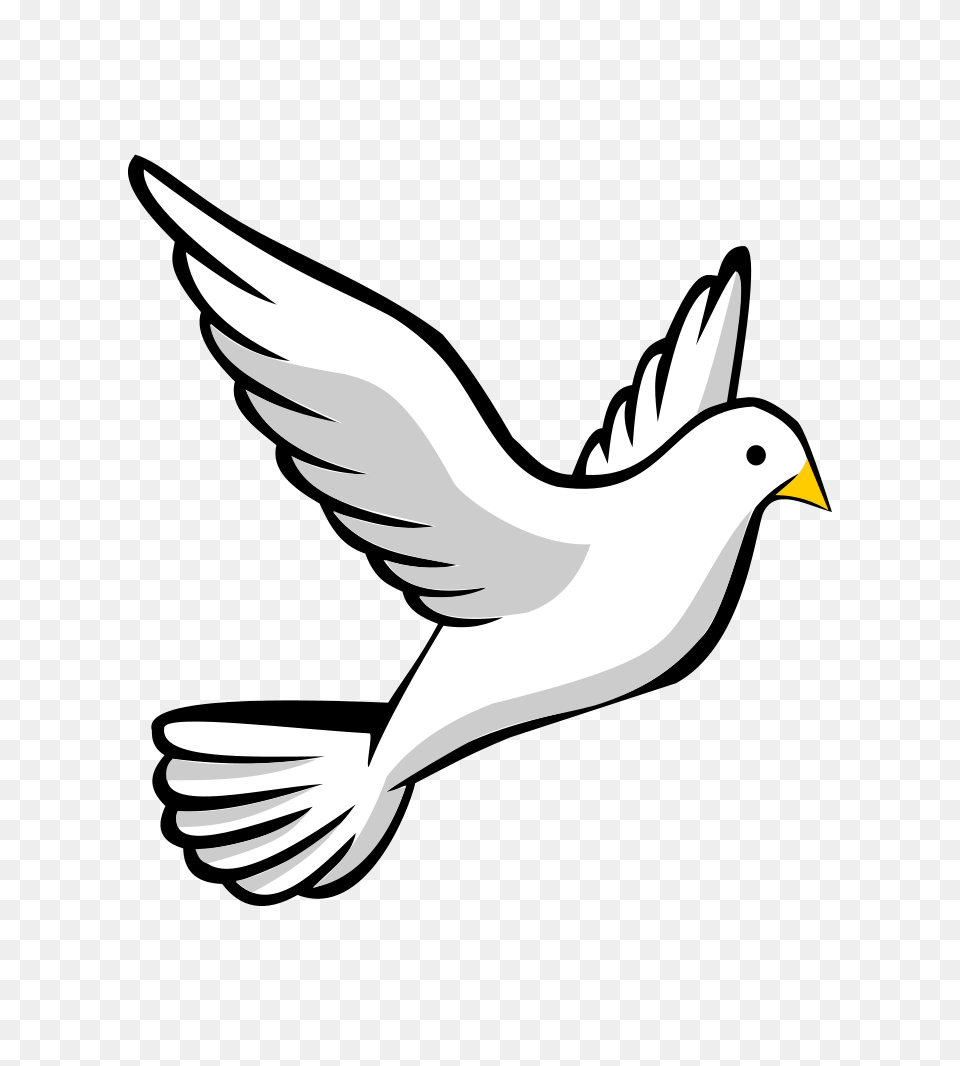 Pigeon Clipart Turtle Dove, Animal, Bird, Finch, Flying Png Image