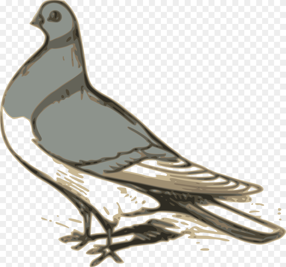 Pigeon Illustration Icons, Animal, Bird, Dove, Plant Free Transparent Png