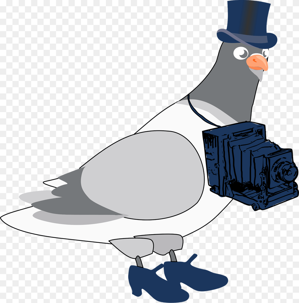 Pigeon In A Top Hat Carrying A Camera Clipart, Animal, Bird, Dove Png Image