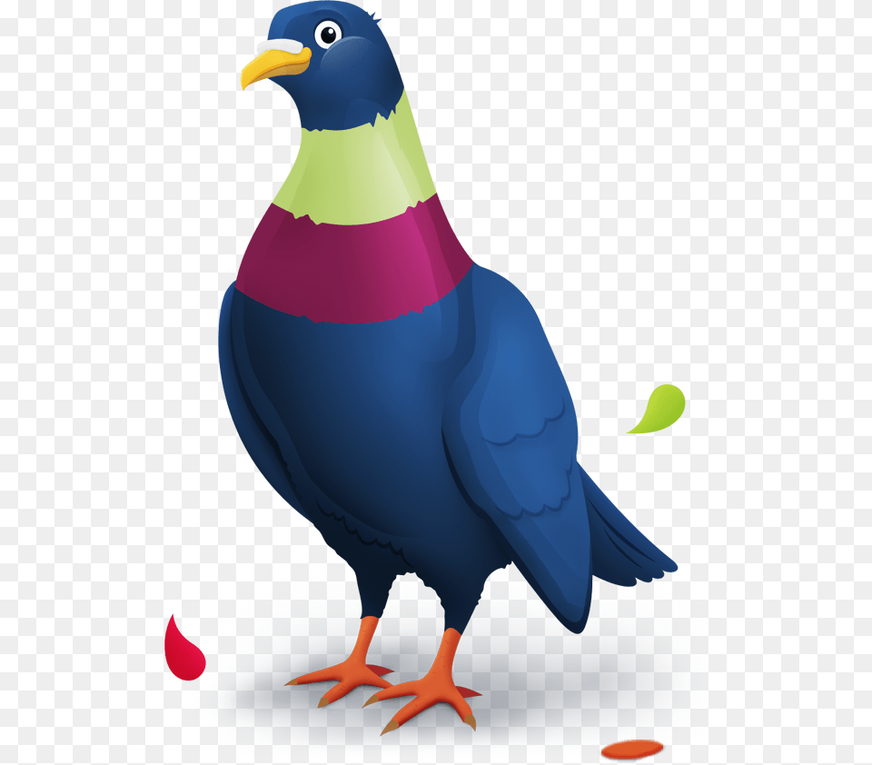 Pigeon Paywall, Animal, Beak, Bird, Blackbird Free Transparent Png
