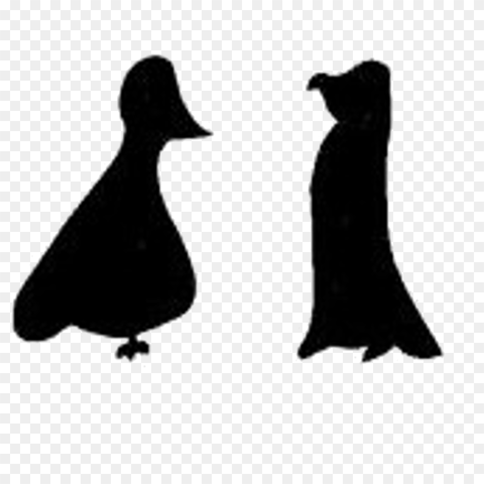 Pigeon Penguin Logo Identity Adlie Penguin, Silhouette, Animal, Bird, Stencil Free Png Download