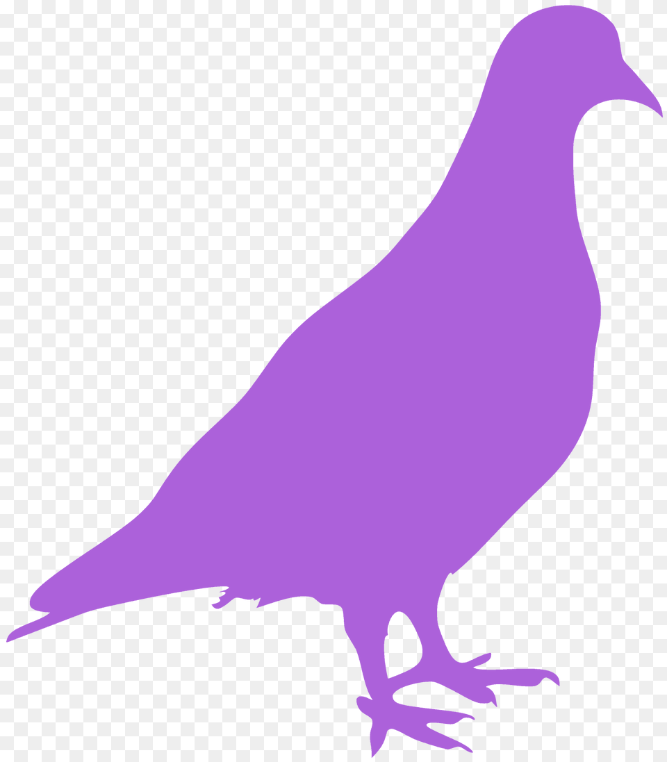 Pigeon Silhouette, Animal, Bird, Dove, Fish Free Png Download