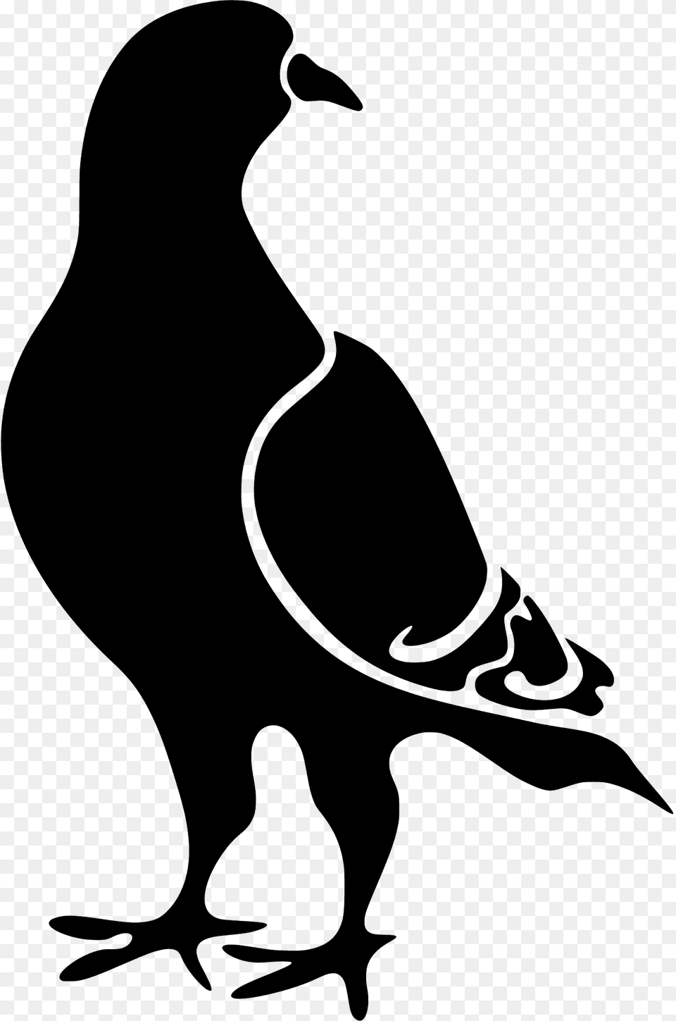 Pigeon Silhouette, Stencil, Animal, Fish, Sea Life Free Transparent Png
