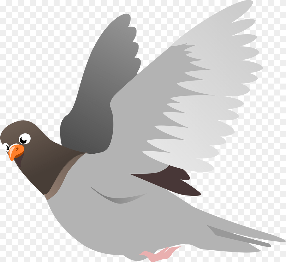 Pigeon Images Mart Flying Bird Clipart, Animal, Dove Free Transparent Png