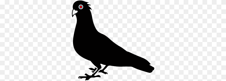 Pigeon Vector, Animal, Bird, Blackbird Free Png Download