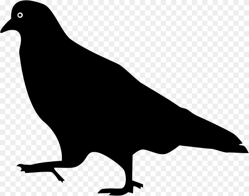 Pigeon Walking Silhouette, Animal, Bird, Blackbird, Fish Free Png