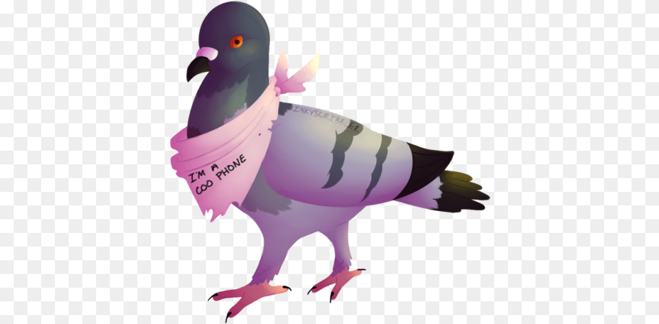 Pigeon Yato, Animal, Bird, Dove, Baby Png Image