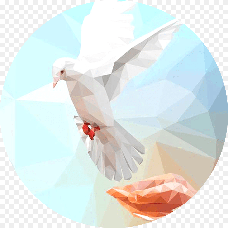 Pigeons And Doves, Animal, Bird, Pigeon, Dove Png Image