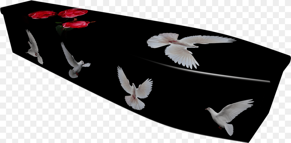 Pigeons And Doves, Flower, Petal, Plant, Animal Png
