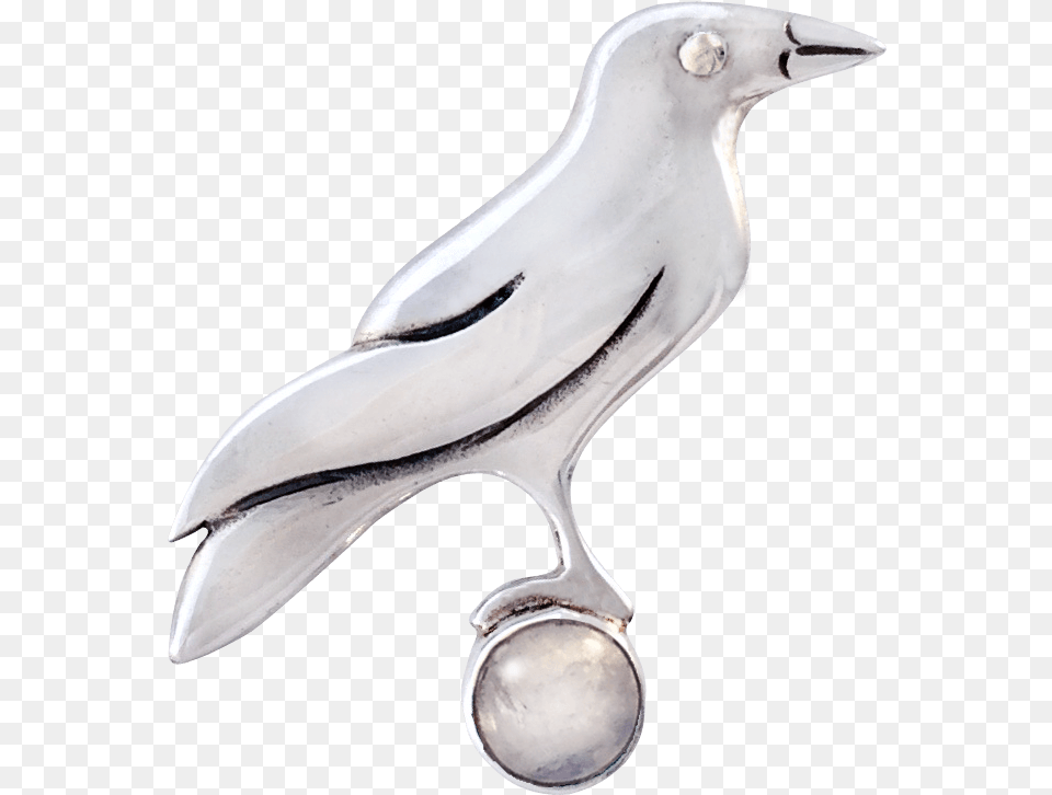 Pigeons And Doves, Animal, Beak, Bird, Accessories Free Transparent Png
