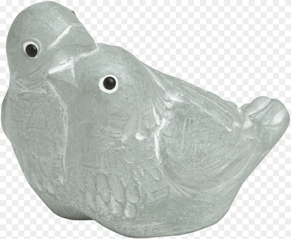 Pigeons And Doves, Animal, Figurine, Fish, Sea Life Png