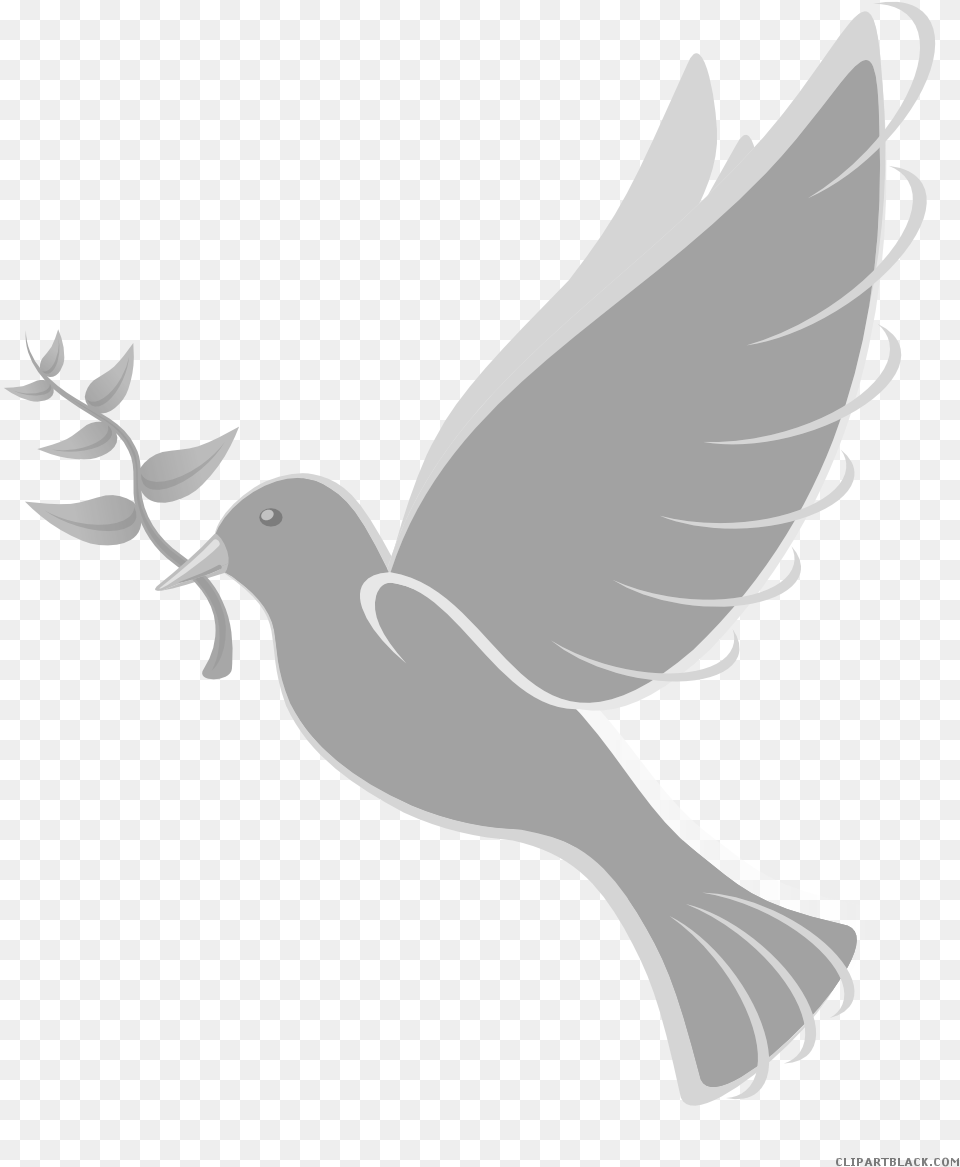 Pigeons And Doves Clip Art Free Content Domestic Pigeon Batak Christian Protestant Church, Animal, Bird, Baby, Person Png Image
