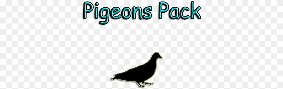 Pigeons Pack Zt2 Pigeon Pack, Animal, Bird, Blackboard Png