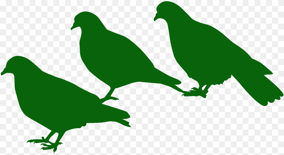 Pigeons Silhouette, Animal, Bird, Pigeon, Dove Free Transparent Png