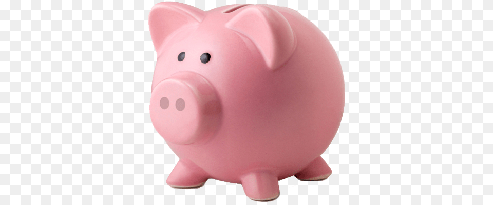 Piggy Bank, Piggy Bank, Animal, Mammal, Pig Png