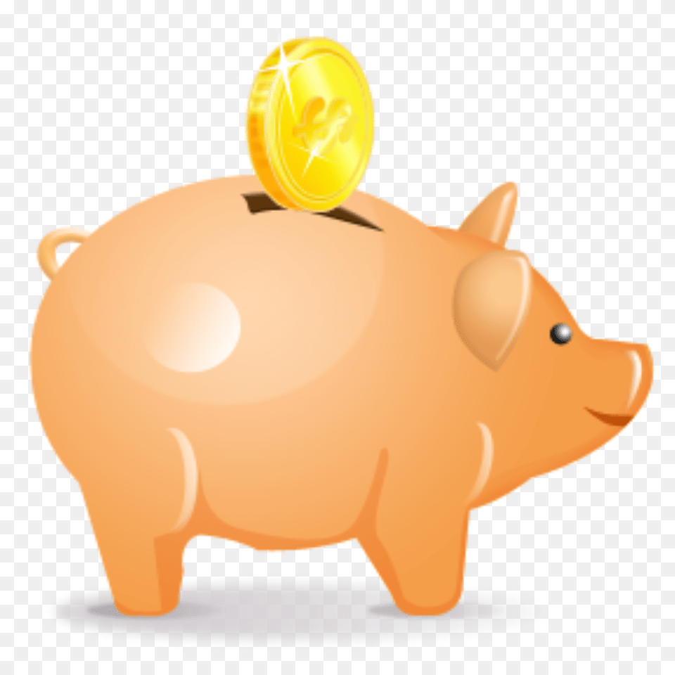 Piggy Bank, Piggy Bank, Animal, Bear, Mammal Free Png Download