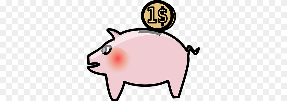 Piggy Bank Piggy Bank, Baby, Person, Animal Free Png