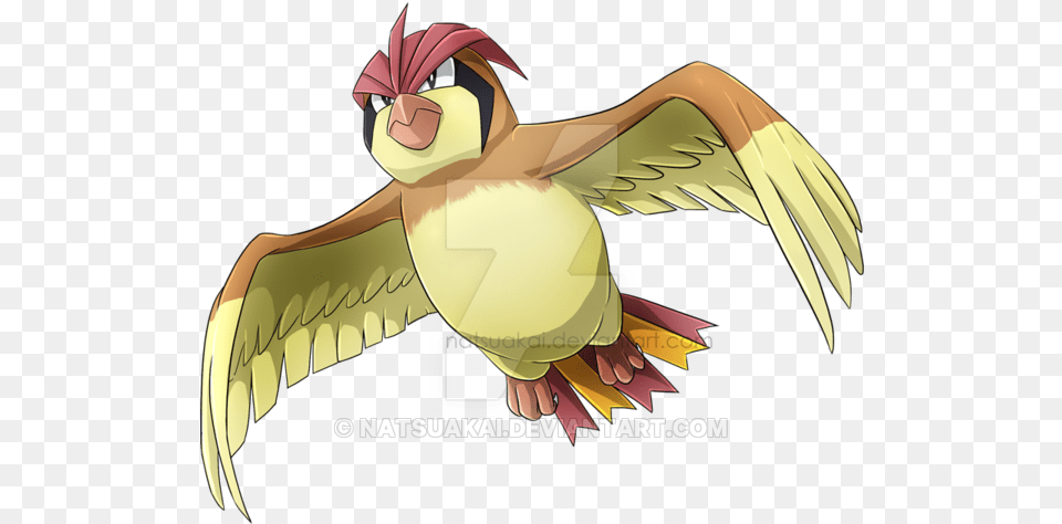 Pigiotto Pidgeotto, Adult, Person, Woman, Female Png