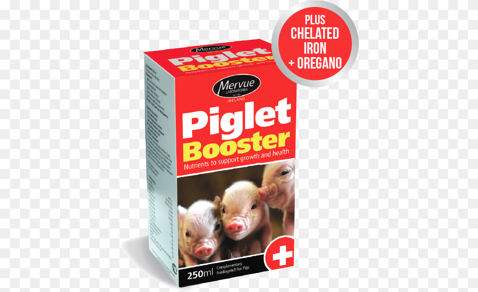 Piglet Booster Product, Animal, Mammal, Pig, Hog Free Png Download