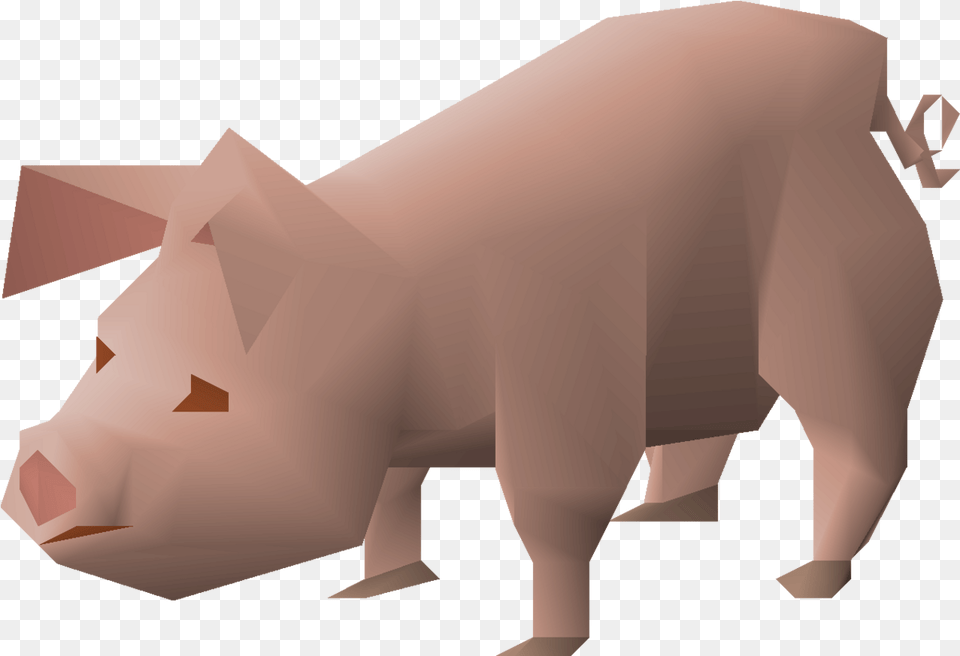 Piglet Carnivore, Animal, Boar, Hog, Mammal Free Transparent Png