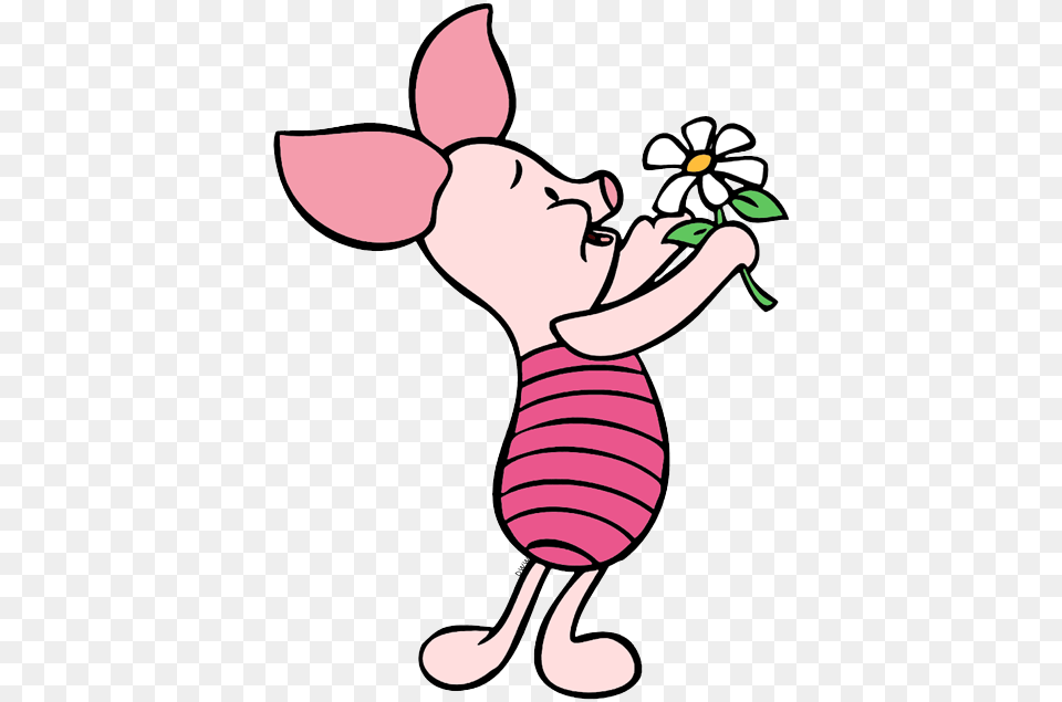 Piglet Download Arts, Face, Flower, Head, Person Free Transparent Png