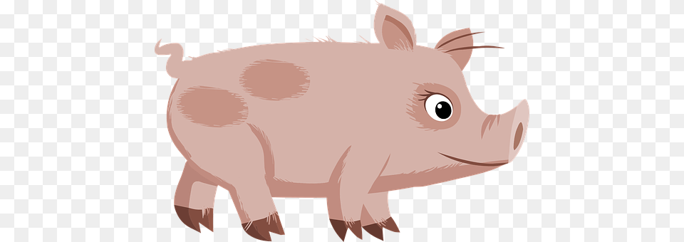 Pigs Animal, Boar, Hog, Mammal Free Png Download