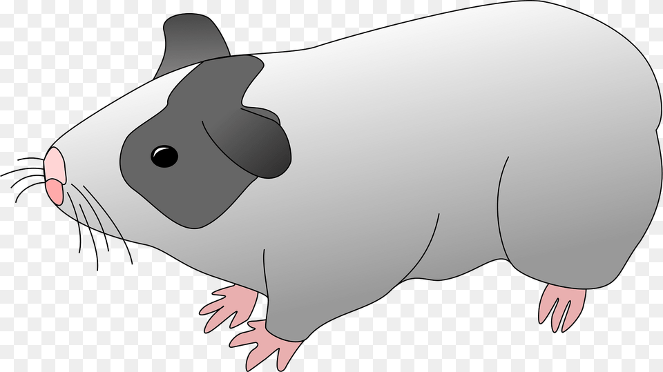 Pigs Clipart, Animal, Mammal, Fish, Sea Life Free Transparent Png